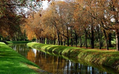 Saint-Amand-Montrond